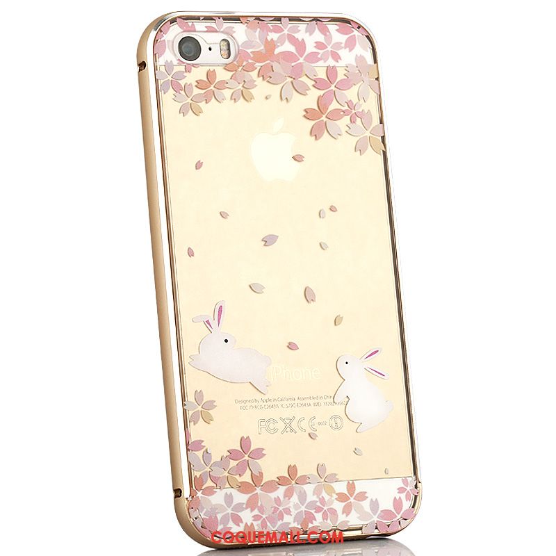 Étui iPhone 5 / 5s Couvercle Arrière Transparent Protection, Coque iPhone 5 / 5s Nouveau Chat