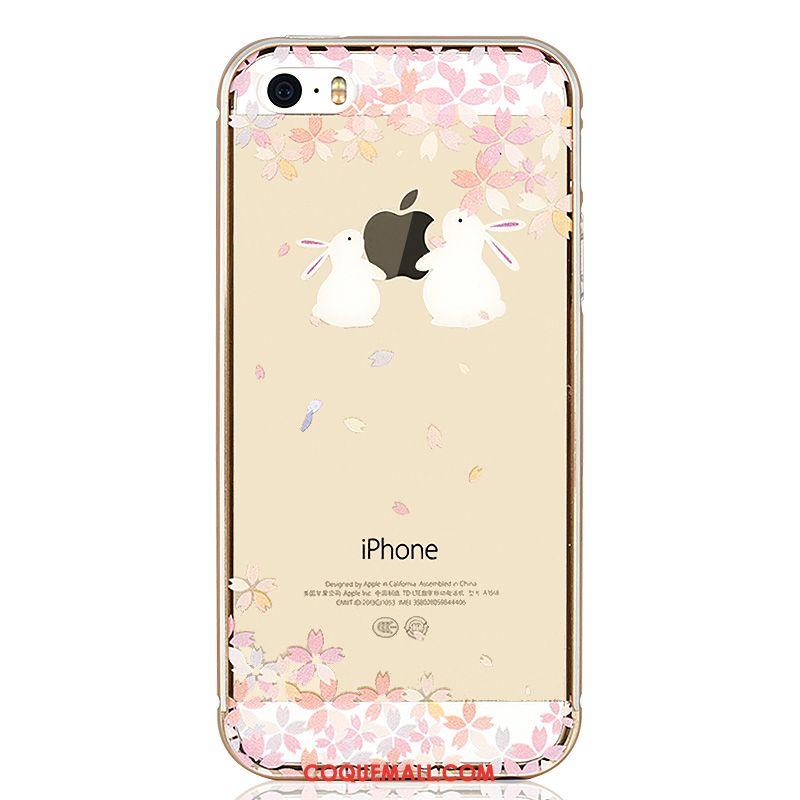 Étui iPhone 5 / 5s Couvercle Arrière Transparent Protection, Coque iPhone 5 / 5s Nouveau Chat