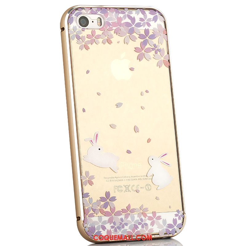 Étui iPhone 5 / 5s Couvercle Arrière Transparent Protection, Coque iPhone 5 / 5s Nouveau Chat