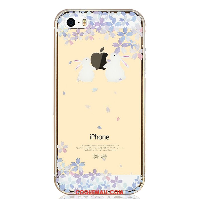 Étui iPhone 5 / 5s Couvercle Arrière Transparent Protection, Coque iPhone 5 / 5s Nouveau Chat