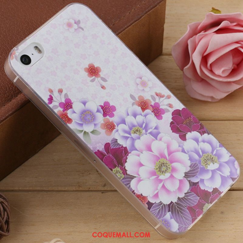 Étui iPhone 5 / 5s Dessin Animé Silicone Fluide Doux, Coque iPhone 5 / 5s Incassable Téléphone Portable