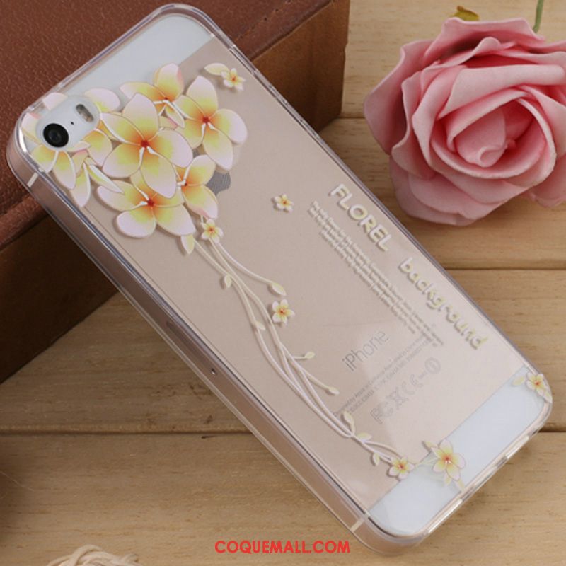 Étui iPhone 5 / 5s Dessin Animé Silicone Fluide Doux, Coque iPhone 5 / 5s Incassable Téléphone Portable