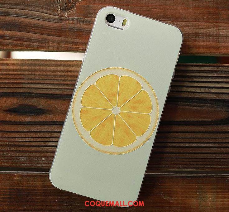 Étui iPhone 5 / 5s Dessin Animé Tendance Coque En Silicone, Coque iPhone 5 / 5s Blanc Fluide Doux