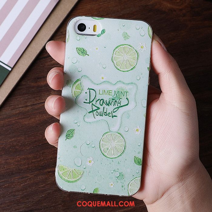 Étui iPhone 5 / 5s Dessin Animé Tendance Coque En Silicone, Coque iPhone 5 / 5s Blanc Fluide Doux