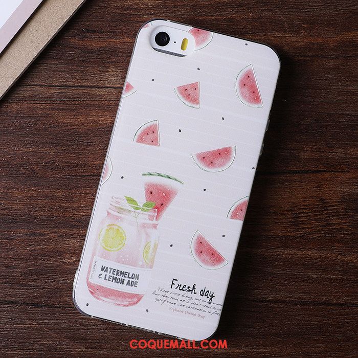 Étui iPhone 5 / 5s Dessin Animé Tendance Coque En Silicone, Coque iPhone 5 / 5s Blanc Fluide Doux