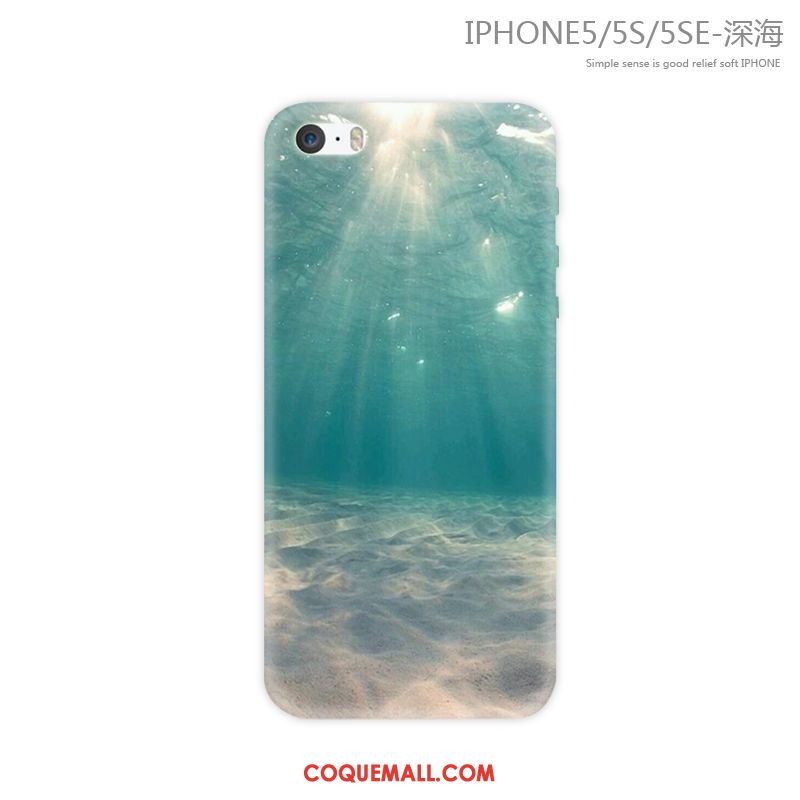 Étui iPhone 5 / 5s Fluide Doux Marque De Tendance Incassable, Coque iPhone 5 / 5s Téléphone Portable Bleu