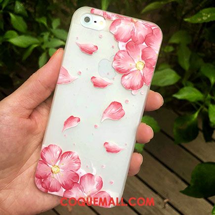 Étui iPhone 5 / 5s Nouveau Personnalité Incassable, Coque iPhone 5 / 5s Créatif Protection