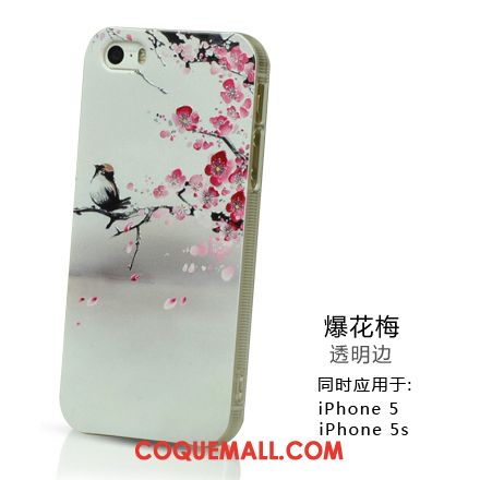 Étui iPhone 5 / 5s Nouveau Personnalité Incassable, Coque iPhone 5 / 5s Créatif Protection