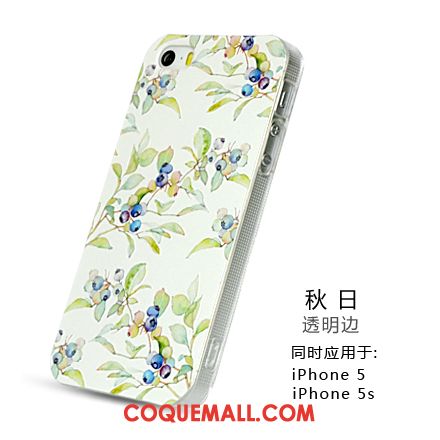 Étui iPhone 5 / 5s Nouveau Personnalité Incassable, Coque iPhone 5 / 5s Créatif Protection