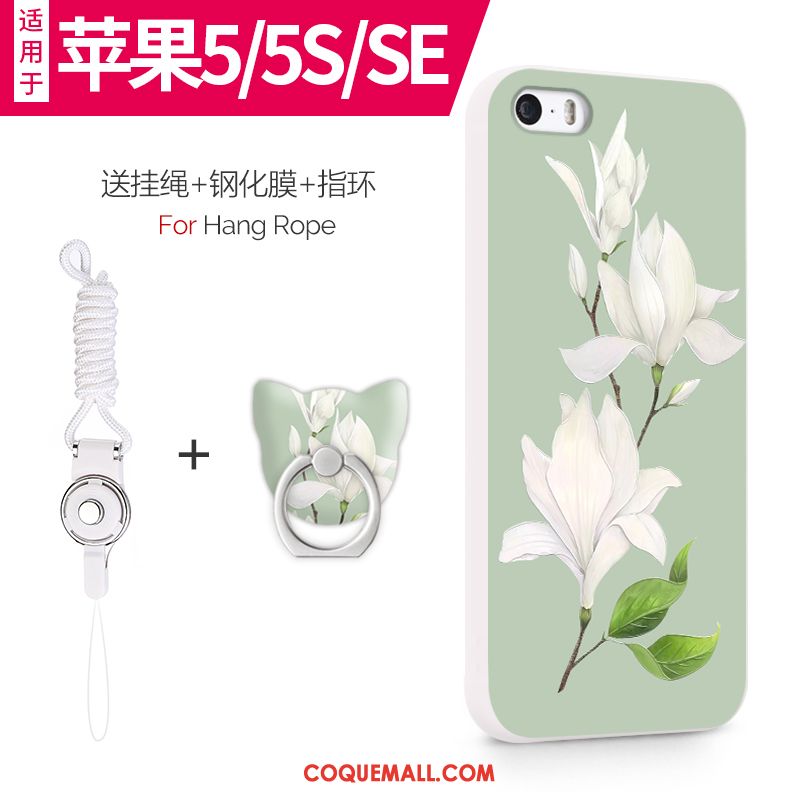 Étui iPhone 5 / 5s Téléphone Portable Tout Compris Silicone, Coque iPhone 5 / 5s Vert Légère