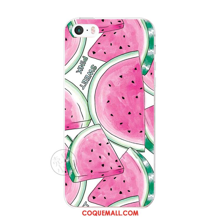 Étui iPhone 5c Protection Pastèque Téléphone Portable, Coque iPhone 5c Petit Fluide Doux