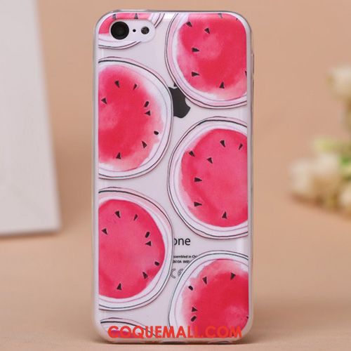 Étui iPhone 5c Transparent Dessin Animé Silicone, Coque iPhone 5c Très Mince Téléphone Portable