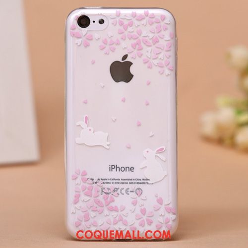 Étui iPhone 5c Transparent Dessin Animé Silicone, Coque iPhone 5c Très Mince Téléphone Portable