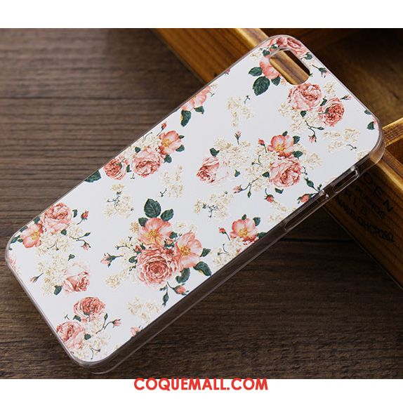 Étui iPhone Se Bleu Clair Charmant Marque De Tendance, Coque iPhone Se Dessin Animé Personnalité