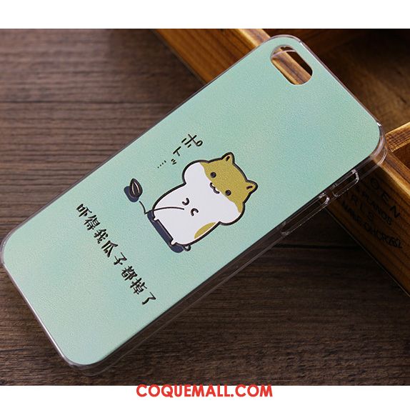 Étui iPhone Se Bleu Clair Charmant Marque De Tendance, Coque iPhone Se Dessin Animé Personnalité