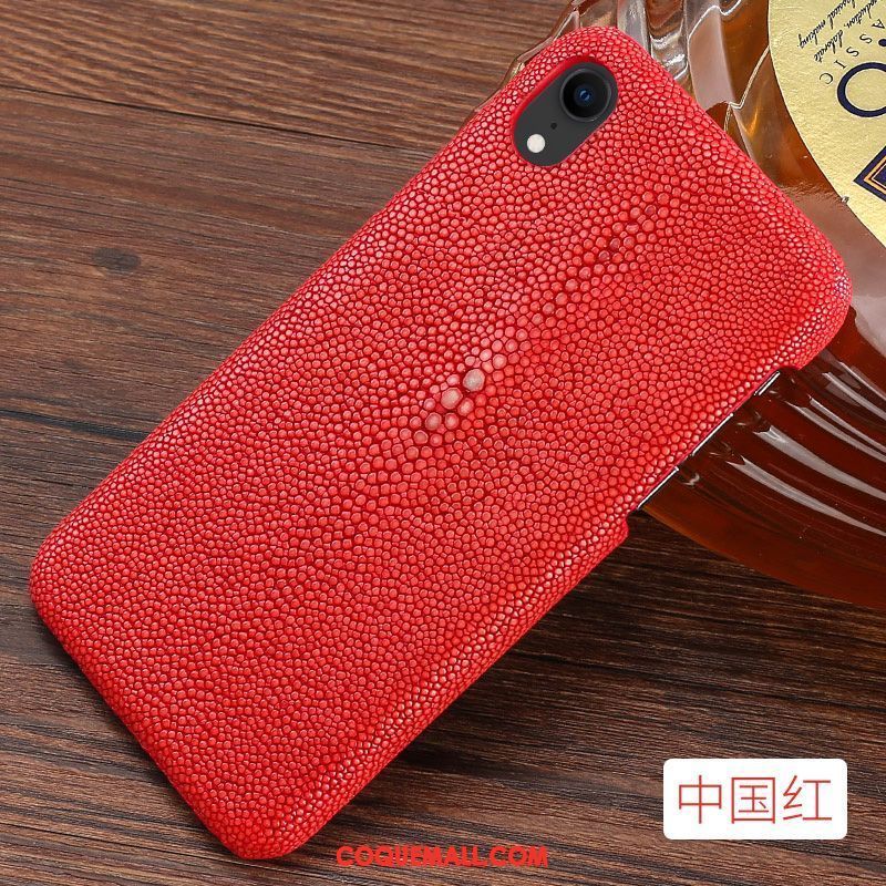 Étui iPhone Xr Cuir Incassable Luxe, Coque iPhone Xr Marque De Tendance Qualité