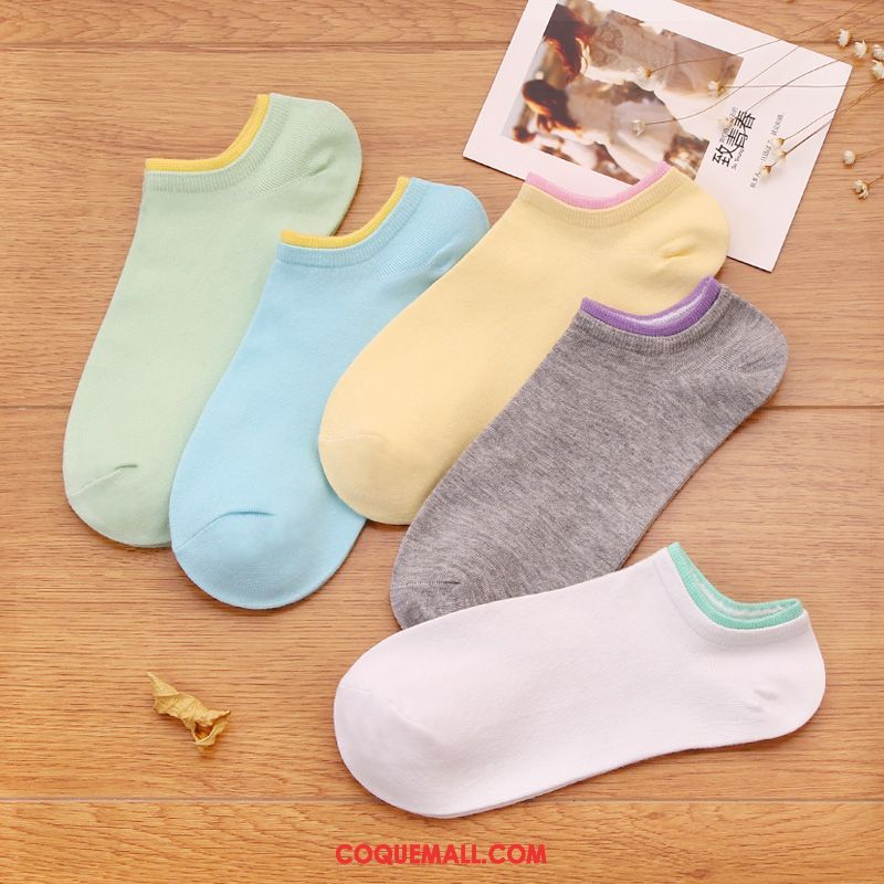 Chaussette Femme Bouche Peu Profonde Couleurs De Bonbon Faible, Chaussette Respirant Étudiant