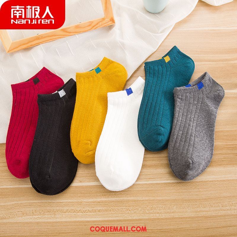 Chaussette Femme Faible Été Chaussette Courte, Chaussette Chaussette Basse Coupée Charmant