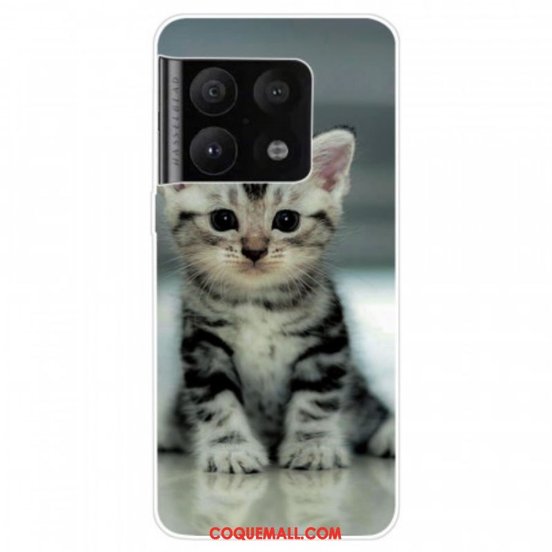 Coque OnePlus 10 Pro 5G Chaton Chaton