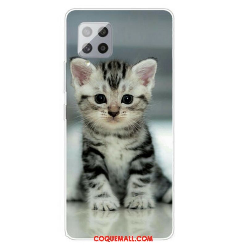 Coque Samsung Galaxy A42 5G Chaton Chaton