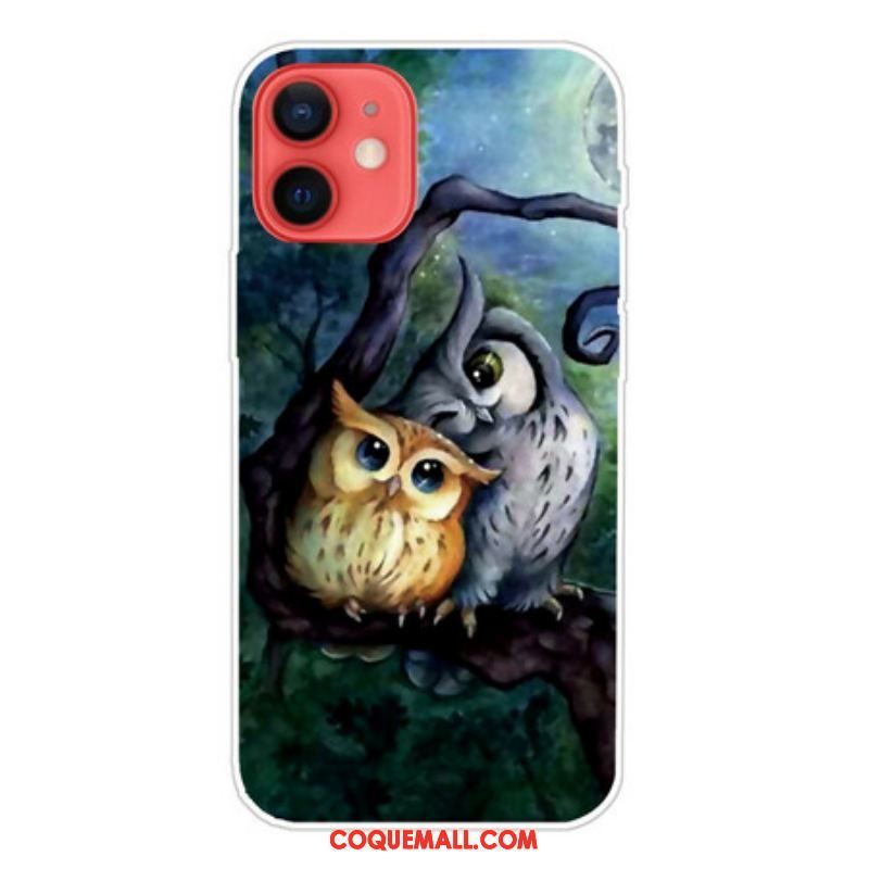 Coque iPhone 13 Mini Peinture Hiboux