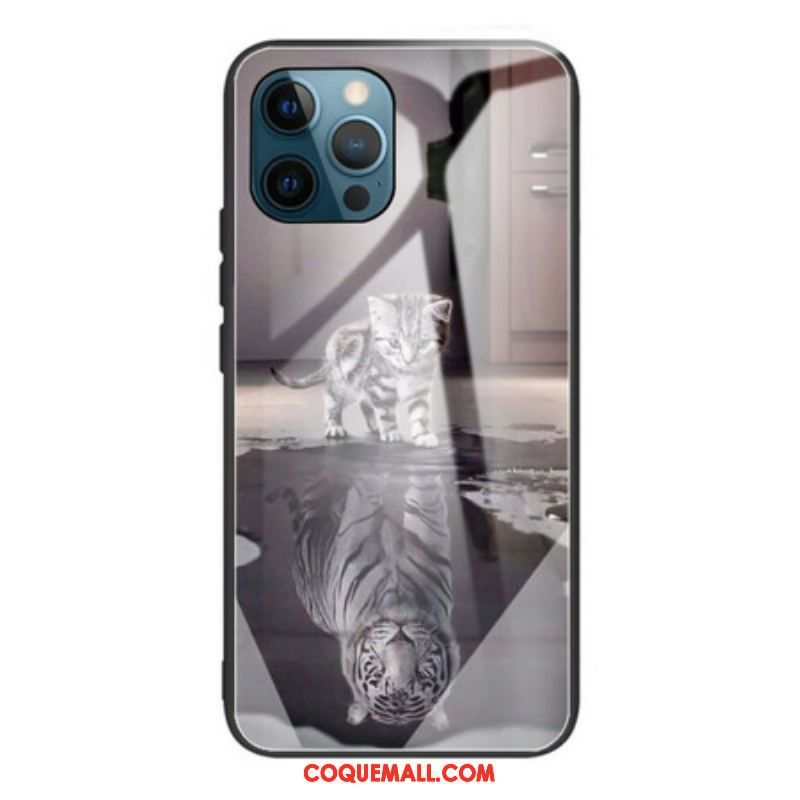 Coque iPhone 13 Pro Verre Trempe Rêve de Chaton