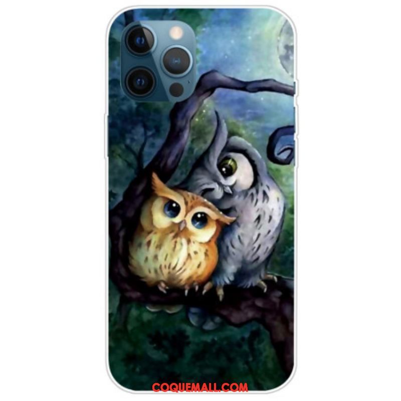 Coque iPhone 14 Pro Max Peinture Hiboux