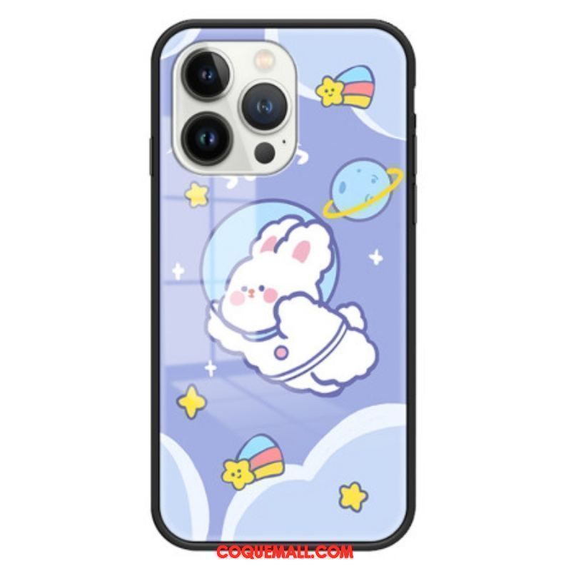 Coque iPhone 15 Pro Verre Trempé Aerospace Rabbit