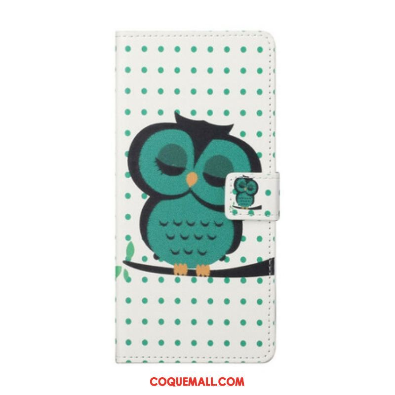 Housse OnePlus Nord 2 5G Hibou Endormi