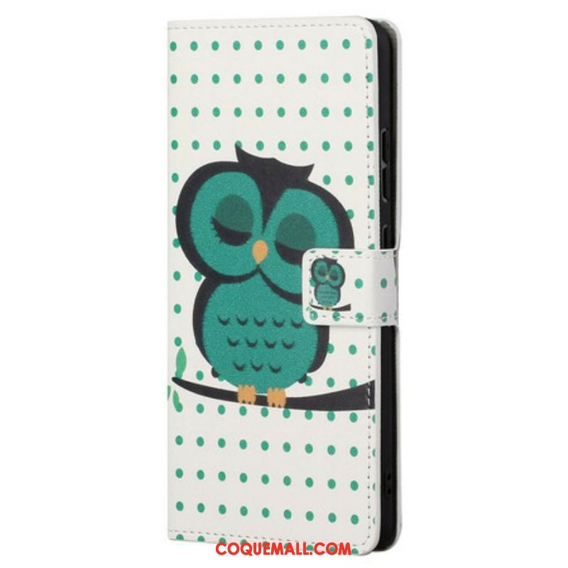 Housse OnePlus Nord CE 5G Hibou Endormi