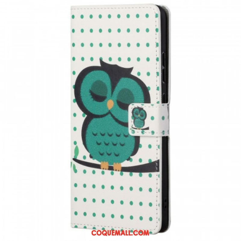 Housse Samsung Galaxy M23 5G Hibou Endormi