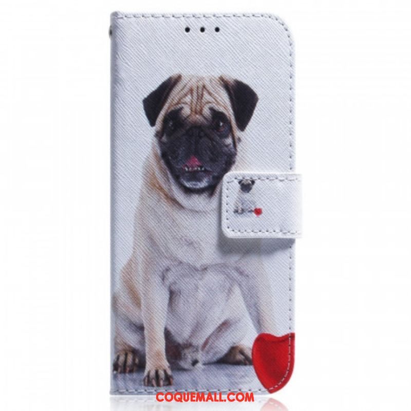 Housse Samsung Galaxy M33 5G Pug Dog