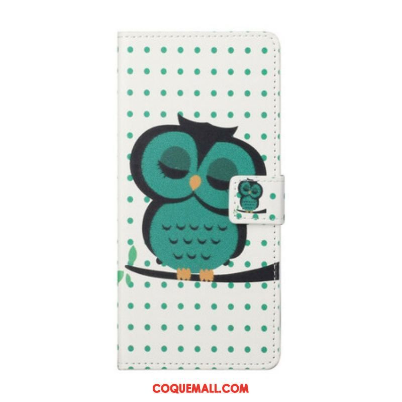 Housse Samsung Galaxy S21 5G Hibou Endormi