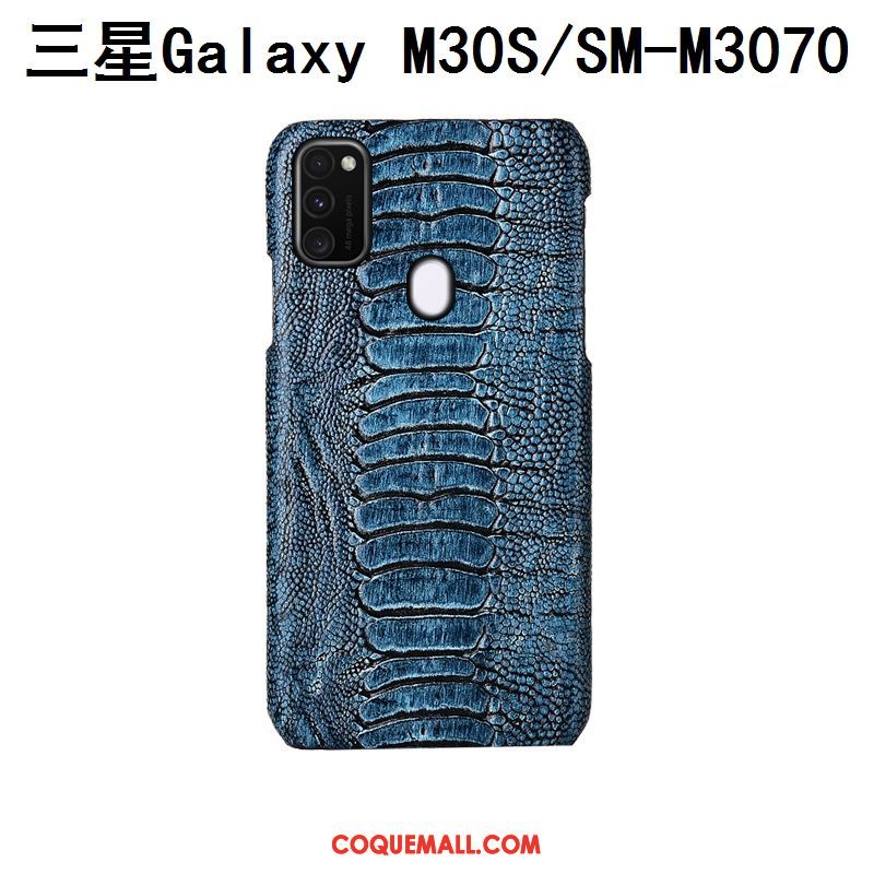 Étui Samsung Galaxy M30s Mode Bleu Étoile, Coque Samsung Galaxy M30s Incassable Luxe