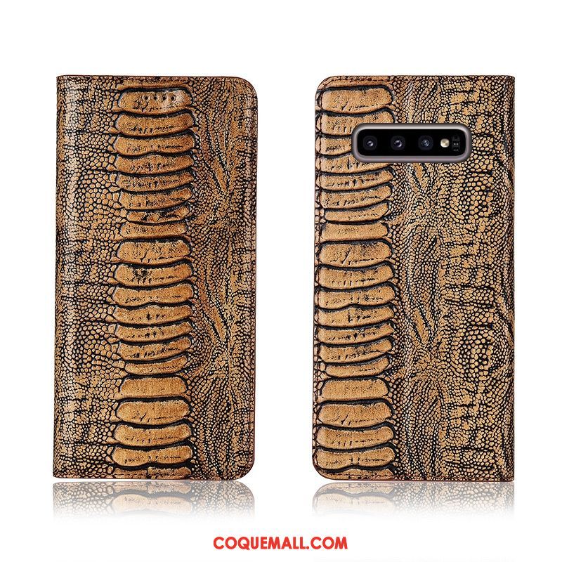 Étui Samsung Galaxy S10+ En Cuir Fluide Doux Protection, Coque Samsung Galaxy S10+ Incassable Tout Compris