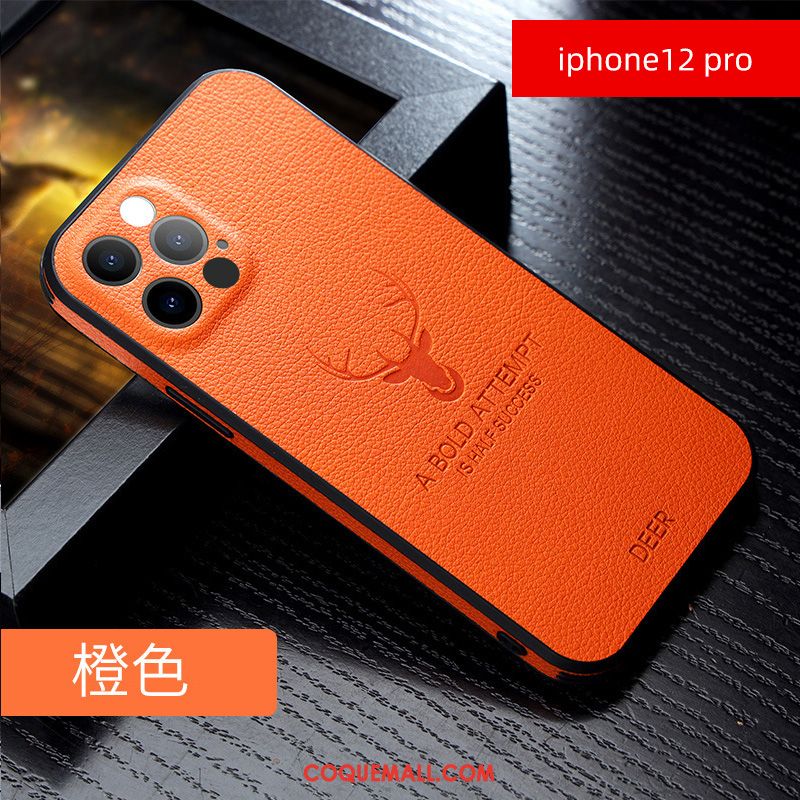 Étui iPhone 12 Pro Téléphone Portable Créatif Fluide Doux, Coque iPhone 12 Pro Tout Compris Nouveau